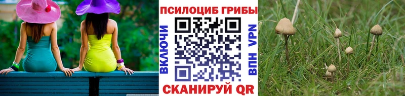 наркота  Темников  Галлюциногенные грибы MAGIC MUSHROOMS 