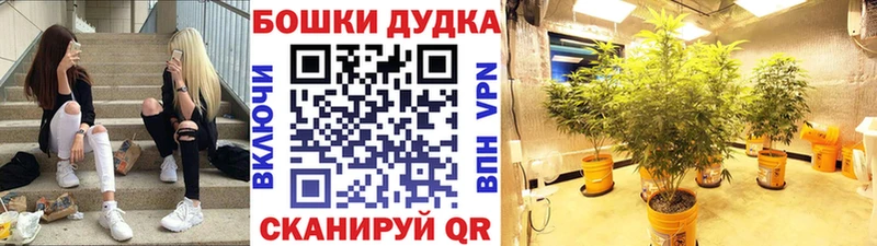 наркошоп  Темников  darknet наркотические препараты  Бошки марихуана LSD WEED 